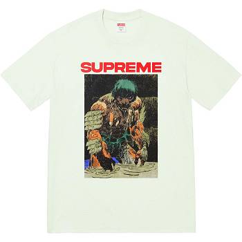 Supreme Ronin Tee Tricko Mätové | SK353EX
